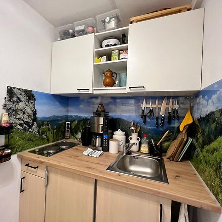Moderne, 1-Zimmer Ferienwohnung Mit Bergblick Oy-Mittelberg Zewnętrze zdjęcie