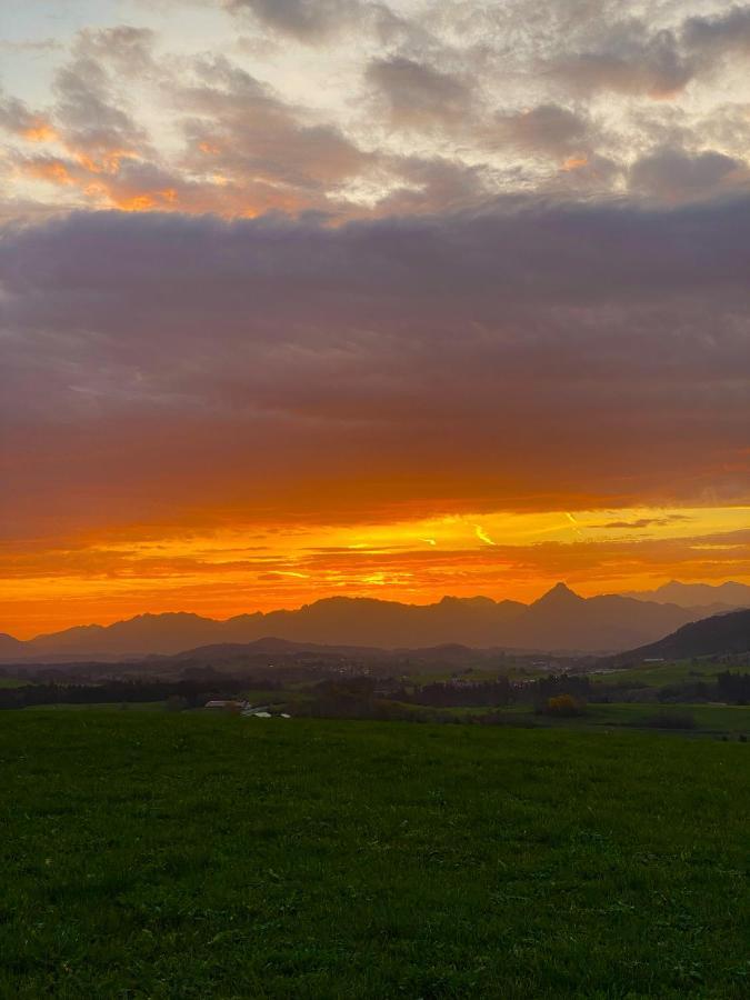 Moderne, 1-Zimmer Ferienwohnung Mit Bergblick Oy-Mittelberg Zewnętrze zdjęcie